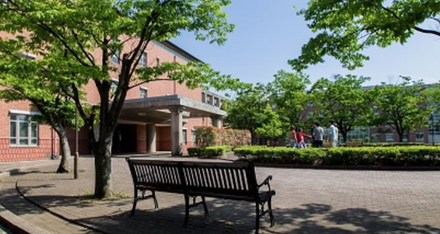携帯サイト情報 倍率 合格発表等 入試情報 新潟県立大学 携帯サイト情報 倍率 合格発表等 入試情報 新潟県立大学